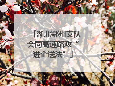 湖北鄂州支队会同高速路政“进企送法”