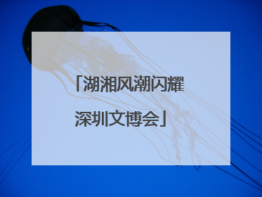 湖湘风潮闪耀深圳文博会