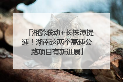 湘黔联动+长株潭提速！湖南这两个高速公路项目有新进展