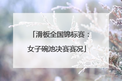 滑板全国锦标赛：女子碗池决赛赛况