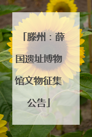 滕州：薛国遗址博物馆文物征集公告