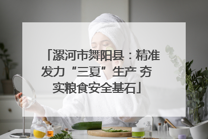 漯河市舞阳县：精准发力“三夏”生产 夯实粮食安全基石