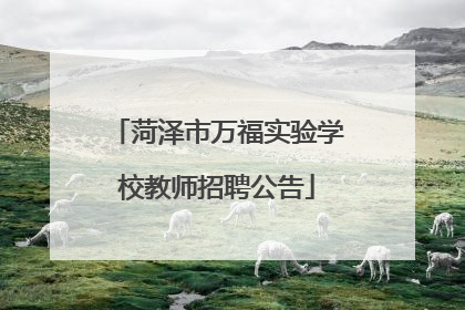 菏泽市万福实验学校教师招聘公告