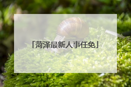 菏泽最新人事任免