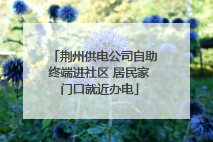 荆州供电公司自助终端进社区 居民家门口就近办电