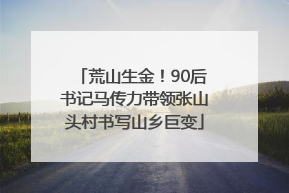 荒山生金！90后书记马传力带领张山头村书写山乡巨变