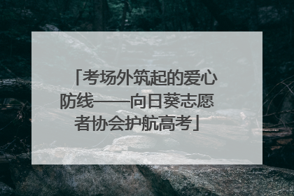 考场外筑起的爱心防线——向日葵志愿者协会护航高考