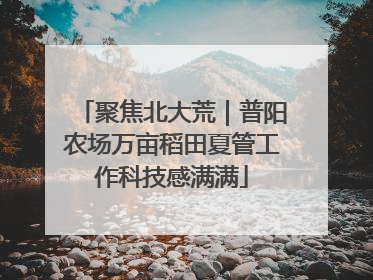聚焦北大荒｜普阳农场万亩稻田夏管工作科技感满满