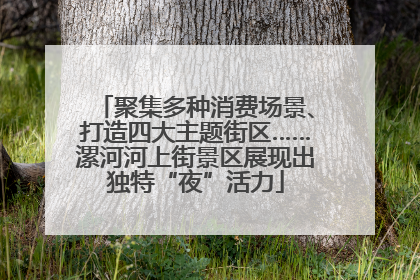 聚集多种消费场景、打造四大主题街区……漯河河上街景区展现出独特“夜”活力