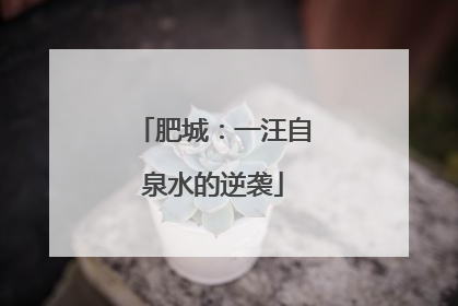肥城：一汪自泉水的逆袭