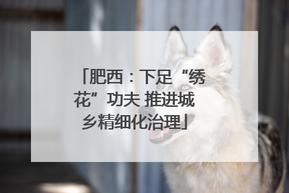 肥西：下足“绣花”功夫 推进城乡精细化治理