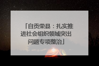 自贡荣县：扎实推进社会组织领域突出问题专项整治