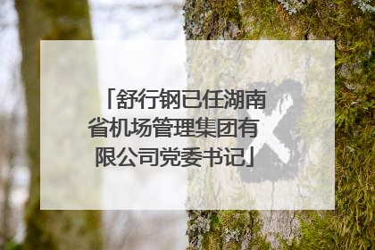 舒行钢已任湖南省机场管理集团有限公司党委书记