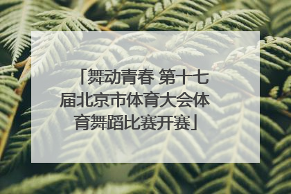 舞动青春 第十七届北京市体育大会体育舞蹈比赛开赛