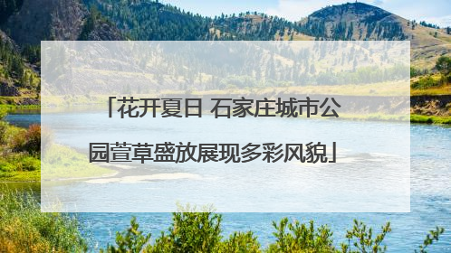 花开夏日 石家庄城市公园萱草盛放展现多彩风貌