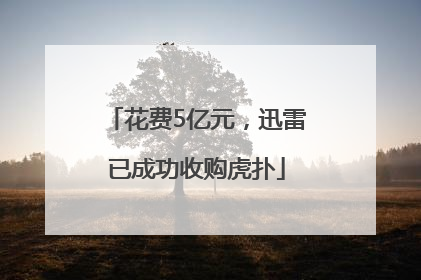 花费5亿元，迅雷已成功收购虎扑