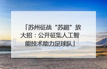 苏州征战“苏超”放大招：公开征集人工智能技术助力足球队