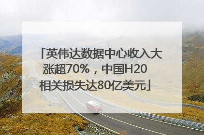 英伟达数据中心收入大涨超70%，中国H20相关损失达80亿美元