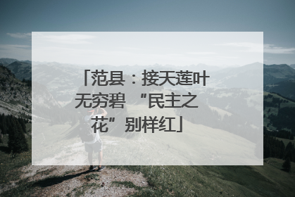 范县：接天莲叶无穷碧 “民主之花”别样红