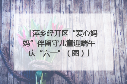 萍乡经开区“爱心妈妈”伴留守儿童迎端午庆“六一”（图）