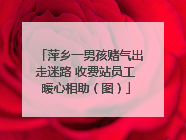 萍乡一男孩赌气出走迷路 收费站员工暖心相助（图）