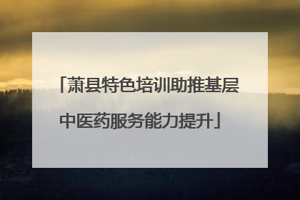 萧县特色培训助推基层中医药服务能力提升