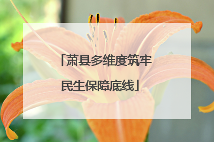 萧县多维度筑牢民生保障底线