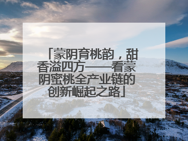 蒙阴育桃韵，甜香溢四方——看蒙阴蜜桃全产业链的创新崛起之路