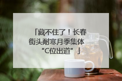 藏不住了！长春街头耐寒月季集体“C位出道”