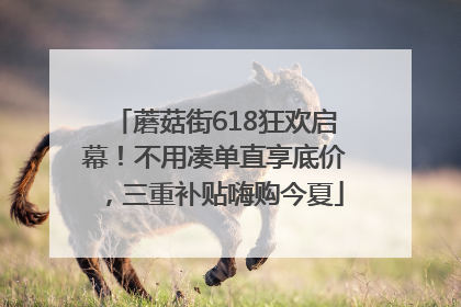 蘑菇街618狂欢启幕！不用凑单直享底价，三重补贴嗨购今夏