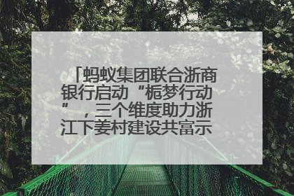 蚂蚁集团联合浙商银行启动“栀梦行动”，三个维度助力浙江下姜村建设共富示范区示范点