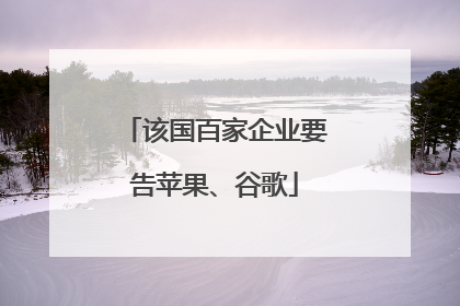该国百家企业要告苹果、谷歌