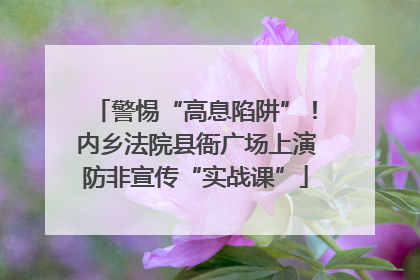 警惕“高息陷阱”！内乡法院县衙广场上演防非宣传“实战课”