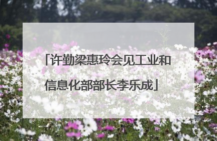 许勤梁惠玲会见工业和信息化部部长李乐成