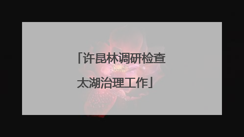 许昆林调研检查太湖治理工作