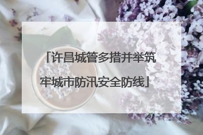 许昌城管多措并举筑牢城市防汛安全防线