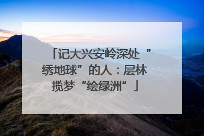 记大兴安岭深处“绣地球”的人：层林揽梦“绘绿洲”