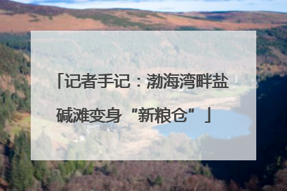 记者手记：渤海湾畔盐碱滩变身“新粮仓”