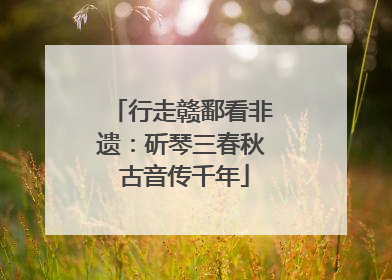 行走赣鄱看非遗：斫琴三春秋 古音传千年