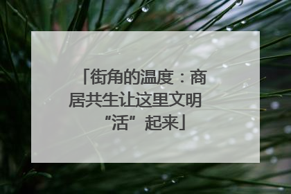 街角的温度：商居共生让这里文明“活”起来