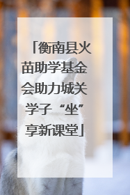 衡南县火苗助学基金会助力城关学子“坐”享新课堂