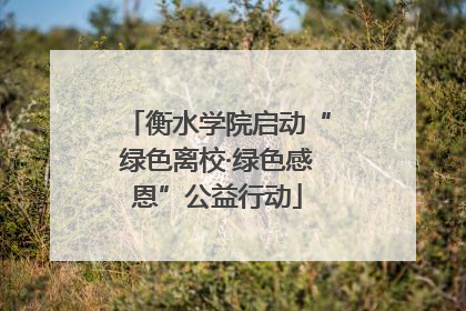 衡水学院启动“绿色离校·绿色感恩”公益行动