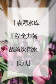 袁湾水库工程全力备战首次挡水度汛