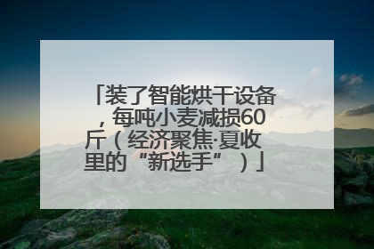 装了智能烘干设备，每吨小麦减损60斤（经济聚焦·夏收里的“新选手”）