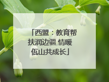 西盟：教育帮扶润边疆 情暖佤山共成长