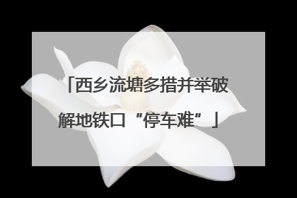西乡流塘多措并举破解地铁口“停车难”