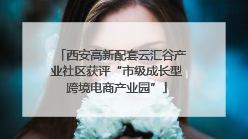 西安高新配套云汇谷产业社区获评“市级成长型跨境电商产业园”