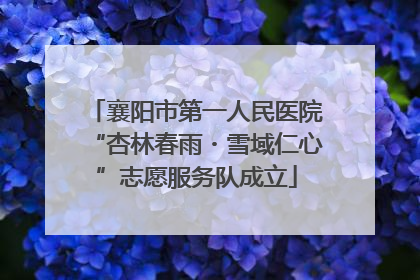 襄阳市第一人民医院“杏林春雨・雪域仁心”志愿服务队成立