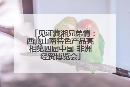 见证藏湘兄弟情：西藏山南特色产品亮相第四届中国-非洲经贸博览会