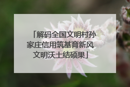 解码全国文明村孙家庄信用筑基育新风文明沃土结硕果